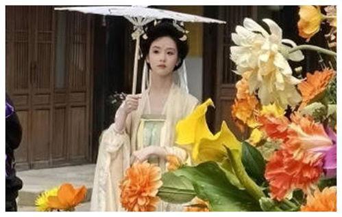 吃瓜网古装,穿越时空的华丽演绎