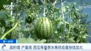 吃瓜新闻网,带你走进娱乐圈的幕后真相