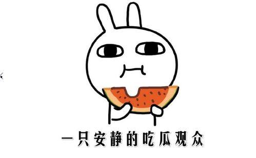 吃瓜网啥意思,网络热议背后的真相与趣味