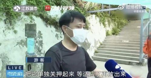 说唱网红吃瓜